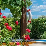 Beautiful Judita With Pool In Tar Villa Tar-Vabriga