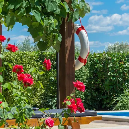 Beautiful Judita With Pool In Tar Villa Tar-Vabriga