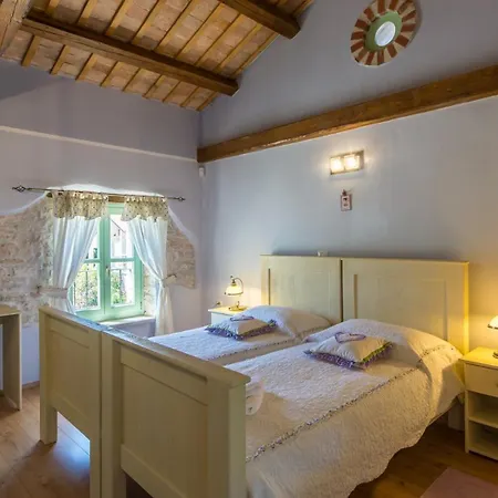 Beautiful Judita With Pool In Tar Tar-Vabriga