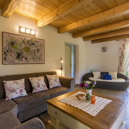 Beautiful Judita With Pool In Tar Tar-Vabriga