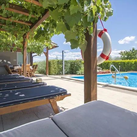 Beautiful Judita With Pool In Tar Tar-Vabriga